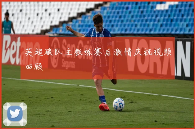 英超狼队主教练赛后激情庆祝视频回顾