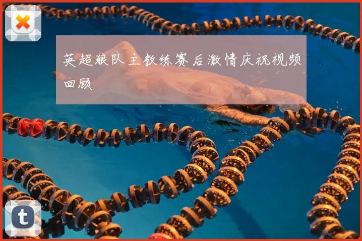 英超狼队主教练赛后激情庆祝视频回顾